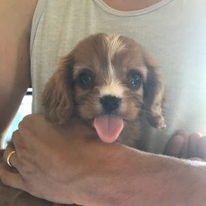 Meet your Posher, Zach